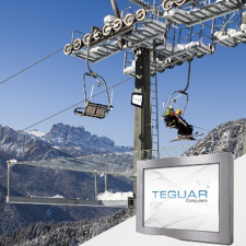 Komposit eines Teguar Monitors im Freien bei kaltem Wetter