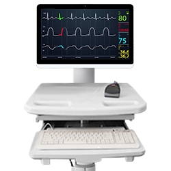 Medical cart computer