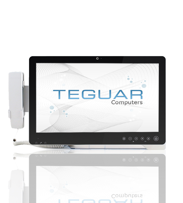 Teguar TME-2240-19 infotainment terminal