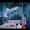 OmniCore EyeMotion Arm
