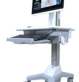 Medical cart computer during a telehealth appointment