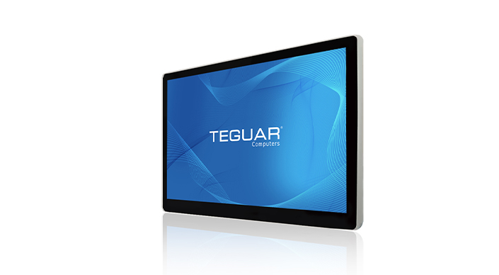 Teguar TMD-20-15 industrial display