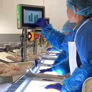 Food factory worker using an antimicrobial touch screen computer