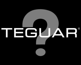 what-is-a-teguar