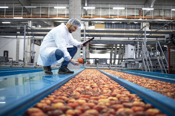 man performing quality control inspection on fruit in food and beverage production line