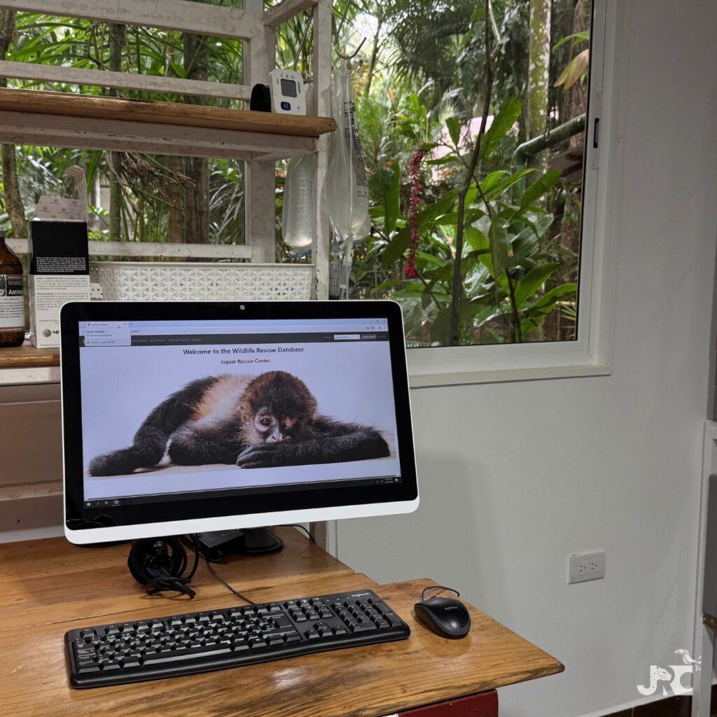 a computer stationed at a window with a lush jungle outside