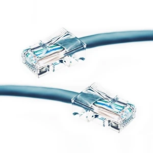 Two ethernet cables