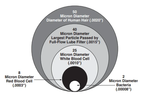 Diagram showing the relative sizes of small objects in microns